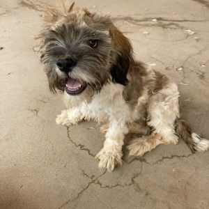 Meet your Posher, Audrey